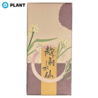 越前水仙 10個入