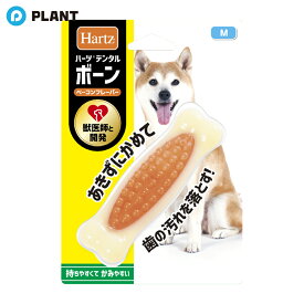 ハーツデンタル ボーン M ベーコンフレーバー