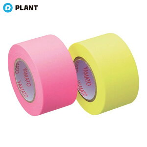 ���}�g �����b�N���[���e�[�v�u�� �l�֗p ���[�Y+������2�� WR-25H-6A
