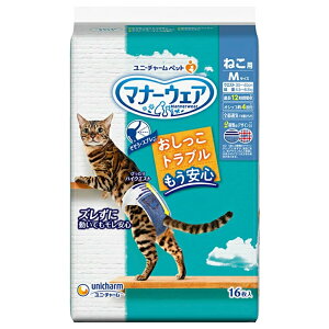 }i[EFA ˂p Lpނ MTCY 16