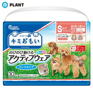 L~ ANeBuEFA pc^Cv Sȉt[TCY 30