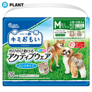 L~ ANeBuEFA pc^Cv Mȏt[TCY 26