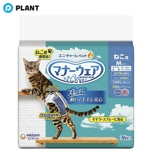 }i[EFA ˂p Lpނ MTCY 36