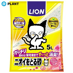 _yXSi|Cg5{z10279:59܂Ł^L jICƂ鍻 t[\[v̍ 5L