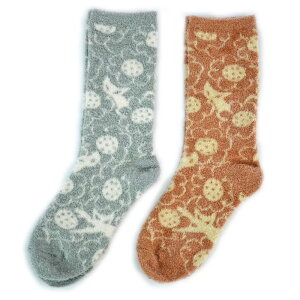 2Zbg ӂӂ\bNX  t@~lR t[Lbg nilR hbgLbg lR}jAnoa family [\bNX C fBX  H~  g h L LG