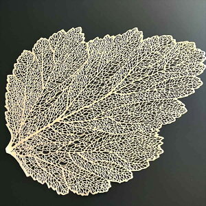 `}bg _ }bg [t S[h Vo[ hC[ PVC [X t^ vCX}bg  AeB[N NVbN  G i [bp Y ~ ԕr~ e