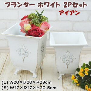 ACAv^[ zCg 2PZbg 召2Zbg Jo[ zCg×S[hAeB[Nh rt GKg AG  K[fjO   CeA [bp