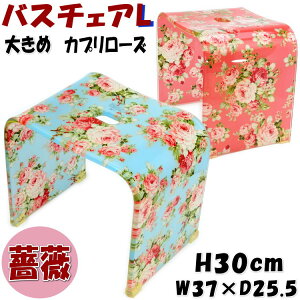 oX`FA LTCY Jv[Y sN u[ AN傫ڂ oXObY C֎q oX`FA[ CX KN KNG C o oXZbg oX`FA 30cm 傫 傫 N