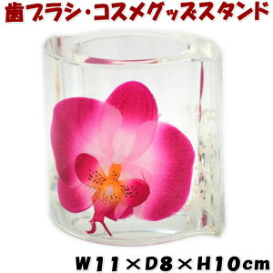 t[X^h sNI[Lbh Ӓ AN Ԑ uV CNObY   RX Tj^[  Lb`  Y  NA Mtg pas
