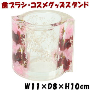 t[X^h ~bNX[Y AN Ԑ uV CNObY RX Tj^[  Lb`  Y  NA Mtg pas