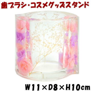 t[X^h XEB[g[Y AN ԃsN p[v  uV CNObY RX Tj^[  Lb`  Y  NA Mtg pas