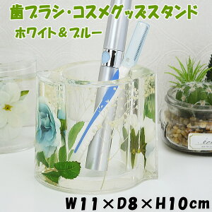 t[X^h zCg&u[ ANԐ uV CNObY RX Tj^[  hbT[ lC y yX^h u₩ O[ [t  