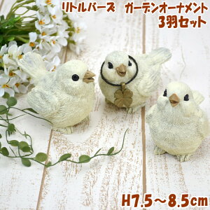 go[Y 3HZbg o[h K[f I[ig IuWF AC{[Aj}Y  K[fjO Ƃ Aj} u  K^ 킢  CeAG j Vzj 