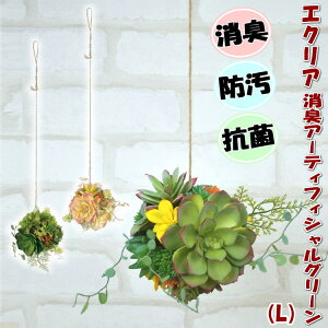 lHϗtA GNA L ݂艺 ی^ LA[eBtBVO[ CTG}H ΊϗtA R h L }CiXCI P[Xt Mtg  CeAG  t[ 