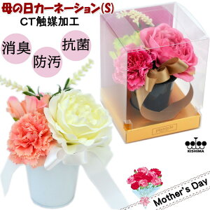 J[l[V LA[eBtBVt[ STCY  CTG} KNAWt[ sN  킢 NAMtg{bNXt [Y  v[g  AW