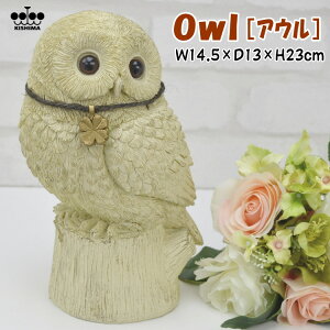 tNE I[ig Owl AE K[f IuWF AC{[ u Aj}Y K[fjO lt̃N[o[  K^ N nbs[ 킢  CeAG j V
