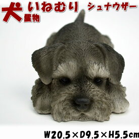 楽天市場 犬 グッズ 花 ガーデン Diy の通販