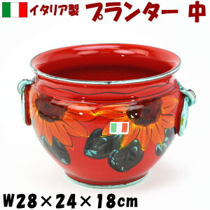 v^[ Jo[  Ђ܂ C^A bh ی^ AG  K[fjO q} @ CeA [bp Mtg