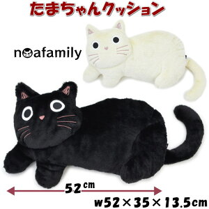 ܂NbV ʂ NbV ubN N[ mAt@~[ noa family  NbV 킢  RR ӂӂ L LG LObY ˂ lR ӂ