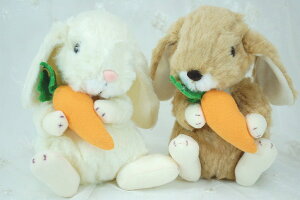 bvC[@Lbg@ʂ݁@x[WEzCg