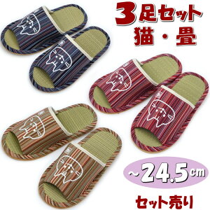 3Zbg Xbp  VRf LhJ a ȕ MTCY `24.5cmqp fB[X [V[Y  OJ  u₩ ^^~ C  VR  a wlp  t 