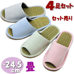 4Zbg Xbp  VRf OD a n MTCY `24.5cmqp fB[X [V[Y Vu[n Vv  OJ  u₩ ^^~ C  VR 