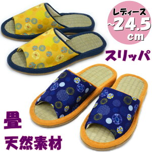 Xbp  ݂͂ a CG[ lCr[ t[TCYVRf [V[Y OJ fB[X jp a ^^~ C  VR  u₩   킢 SU 