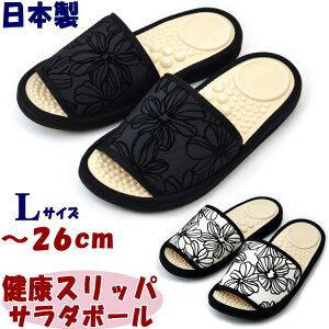 { Xbp T_{[ tbL[t[ LTCY `26cm ubN zCg fB[X y \tg _炩 ˋN c{  [V[Y wX NXbp NT_ 