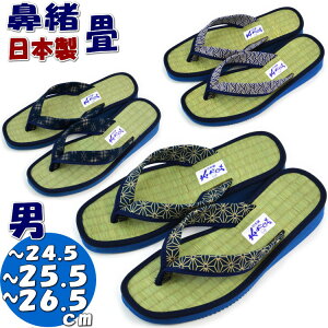 { amJv\ @T_  Xbp LTCY LLTCY lCr[  ^^~  킢 [V[Y C SU 㗚  N ėp  r Mtg