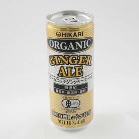 ジンジャーエール250ml 光食品 恒食 オーガニック 炭酸飲料 国産生姜 爽やかな飲み心地 辛味 ヴィーガン ビーガン お茶 コーヒー ソフトドリンク