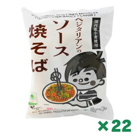 ベジタリアンのソース焼きそば 118g × 22個セット まとめ買い 桜井食品 恒食 インスタントラーメン 乾麺 即席めん 動物性原材料不使用 植物油 ヘルスケア食品 国内産小麦粉 ヴィーガン ビーガン インスタント麺 乾麺 パスタ