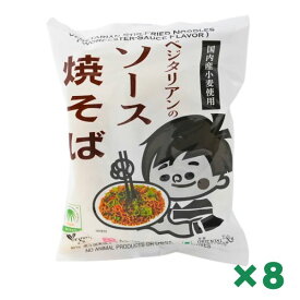 ベジタリアンのソース焼きそば 118g × 8個セット まとめ買い 桜井食品 恒食 インスタントラーメン 乾麺 即席めん 動物性原材料不使用 植物油 ヘルスケア食品 国内産小麦粉 ヴィーガン ビーガン インスタント麺 乾麺 パスタ