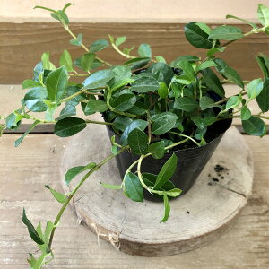 ϗtA@鐫KW}@tBJX VO