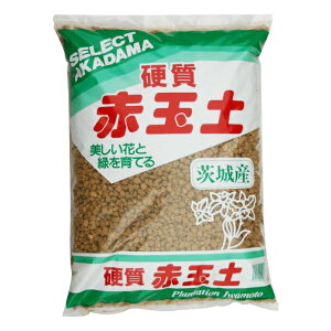 硬質赤玉土の通販 価格比較 価格 Com