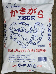 {錧YVRΊD 5kg y10P26Mar16z@ y yÂ 