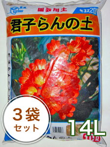 Nq̓y 14L^3܃ZbgNq |{y