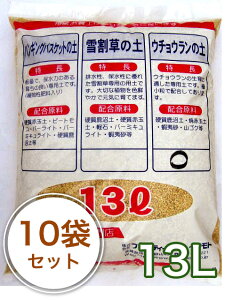 ウチョウラン 農業資材 ガーデニング用品の通販 価格比較 価格 Com ウチョウラン 農業資材 ガーデニング用品の通販 価格比較 価格 Com