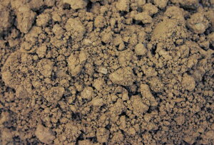 荒木田土 用土の人気商品 通販 価格比較 価格 Com
