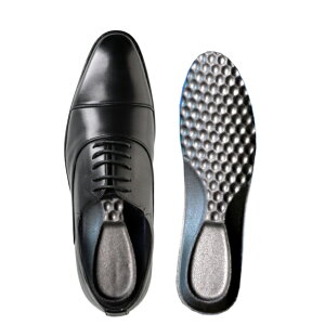 rWlXV[Y  Ռz Ȃ NbVC\[ lHv Y [t@[ rWlXV[Y Xj[J[ Ռz ᔽ _炩C RC  25cm 26cm