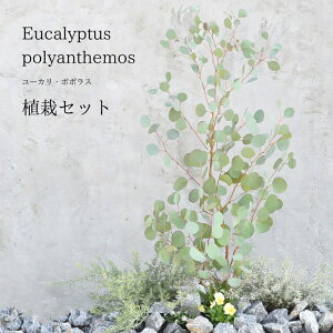 [J ||X y܂A̓Zbgz Cc1 c2 c3 v6 K[fjO 񂹐A y5cƓȓɔz ykCEEւ̔zsz