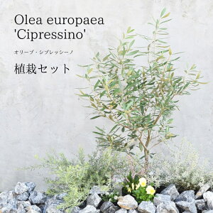 I[u VvbV[m y܂A̓Zbgz Cc1 c2 c3 v6 K[fjO 񂹐A y5cƓȓɔz ykCEEւ̔zszI[u `vb