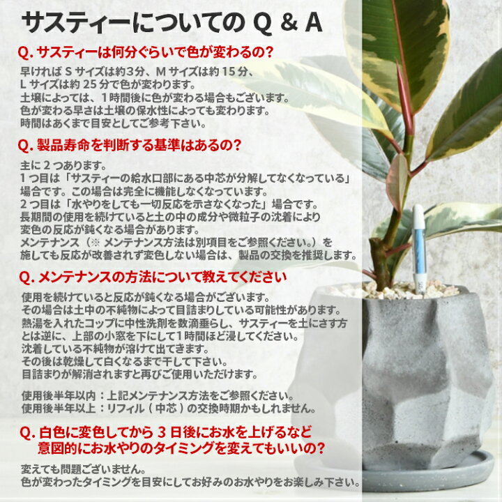 楽天市場 水分計 サスティー Sサイズ ホワイト 2 3号鉢におすすめ 水やりのタイミングが分かる植物用水分計 Sustee 観葉植物 多肉植物 植物用 サスティーのみのご注文はポスト投函 送料500円 でのお届けとなります ５営業日以内に発送 プランツショップorage