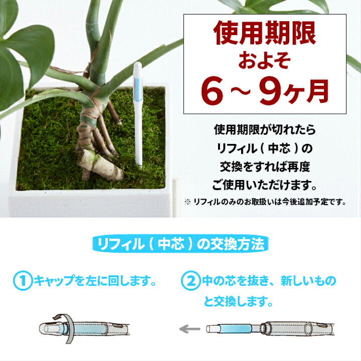 楽天市場 水分計 サスティー Sサイズ ホワイト 2 3号鉢におすすめ 水やりのタイミングが分かる植物用水分計 Sustee 観葉植物 多肉植物 植物用 サスティーのみのご注文はポスト投函 送料500円 でのお届けとなります ５営業日以内に発送 プランツショップorage