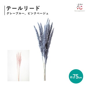 e[[h sNx[W u[O[ 10{ hCt[ ԍ u[P ԑ CeA  XXL fBXvC AW XbO j v[g Mtg i`ăMt