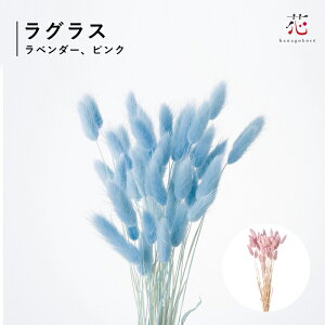 OX sN x_[ 15g hCt[ ԍ u[P ԑ CeA  XXL fBXvC AW XbO j v[g Mtg i`ăMtg 