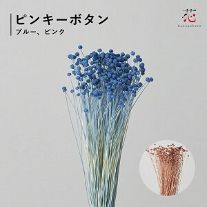 sL[{^ sN u[ hCt[ ԍ u[P ԑ CeA  XXL fBXvC AW XbO j v[g Mtg i`ăMtg 