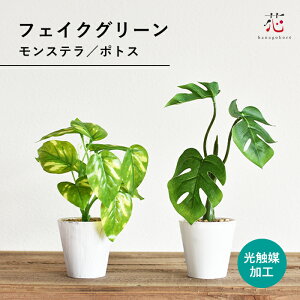 tFCNO[   CeA |gX Xe ϗtA ~j  1000~|bL ݌ɏ  t   TCY Zbg   k Aؔ   e[u 