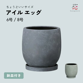 植木鉢 大型 おしゃれ アイルエッグ 6号 8号 植木鉢 底穴あり 受け皿付き 鉢カバー プランターカバー 陶器 観葉植物 軽い かわいい 丸い 人気 室内 白 グレー 植え替え コンクリート モルタル夏ギフト お中元