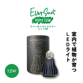 植物育成ライト LED エバーサン サンロクゴー ミニ 12W ブラック ランプ 照明 観葉植物 多肉植物 水耕栽培 テラリウム 塊根植物 サボテン 熱帯植物 インテリア ゼンスイ夏ギフト お中元