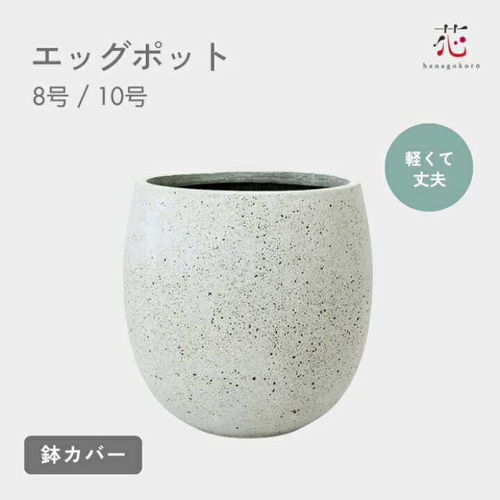 楽天市場】植木鉢 大型 おしゃれ たまご型 コンクリート エッグポット 